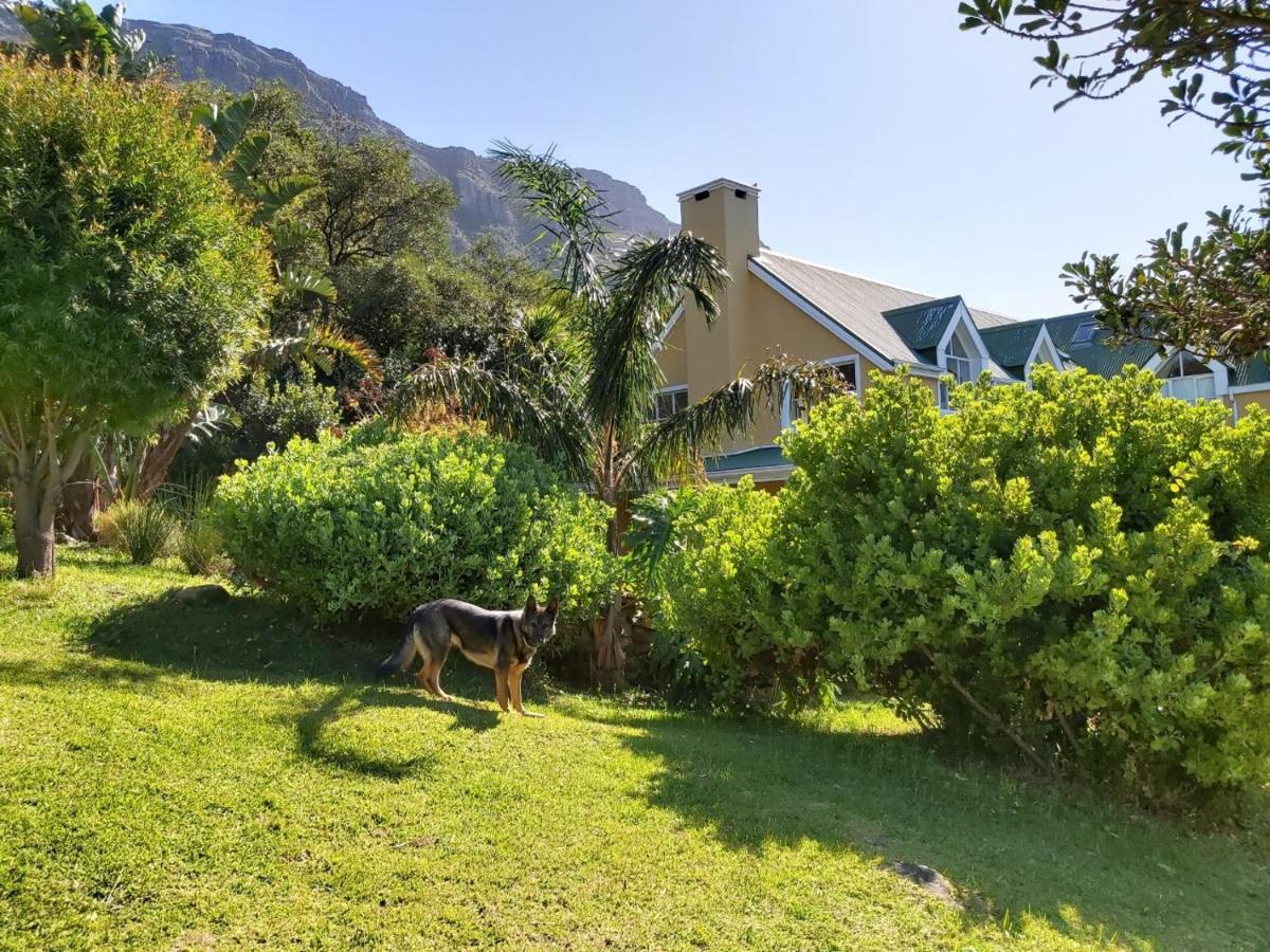 Villa La Paz Hout Bay Exterior foto